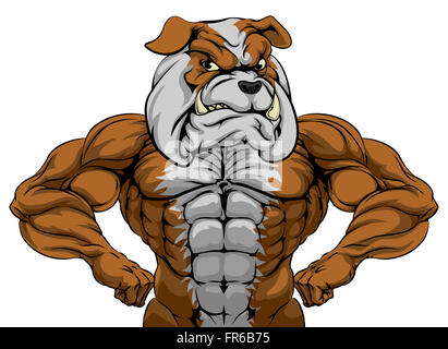 Cartoon tough mean strong bulldog sports mascot Stock Photo