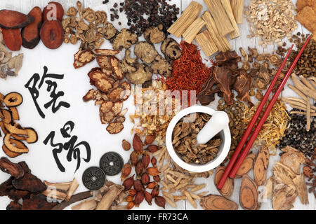 Yin and yang symbols with traditional chinese herbal medicine selection, i ching coins, mortar with pestle and chopsticks. Stock Photo