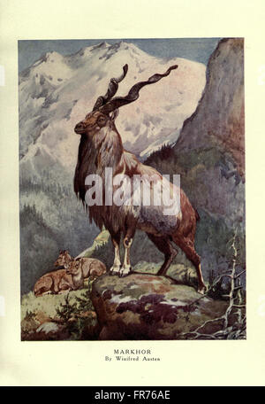 'The Wild Beasts of the World' features detailed illustrations and ...