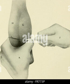 'Animal Castration' (1914) provides a comprehensive guide for students ...
