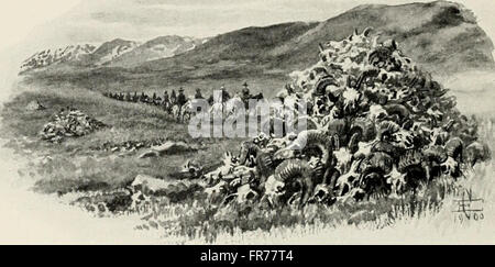 After wild sheep in the Altai and Mongolia; (1900)
