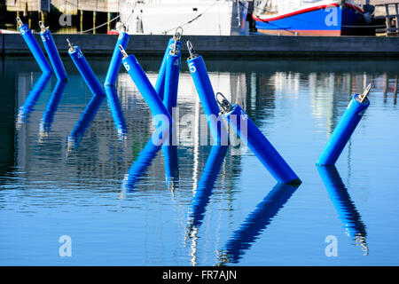 Blue, numbered mooring places in a marina. No boats tied to them. Calm sea and fine reflections of the buoys in the water. Stock Photo