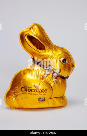 easter chocolate bunny wrapped in gold foil england uk Stock Photo
