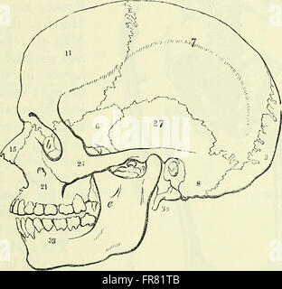 This 1866 work explores the anatomy of vertebrates, providing a ...