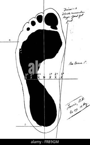 A manual on foot care and shoe fitting for officers of the U.S. Navy and U.S. Marine corps (1920) Stock Photo