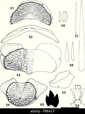 The American Malacological Bulletin from 1988 focuses on the study of ...
