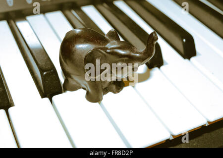 Elephant on Keyboard Stock Photo