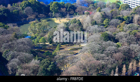 Japan, Tokyo, Koishikawa Korakuen Garden, aerial view, Stock Photo