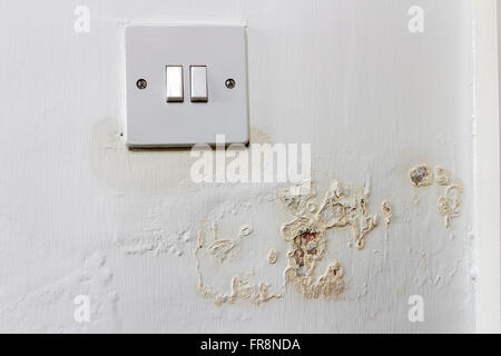 Damp Leaching Out of a Wall and Around a Light Switch in a Rented House Where the Landlord has Failed to Address the Problem. Stock Photo