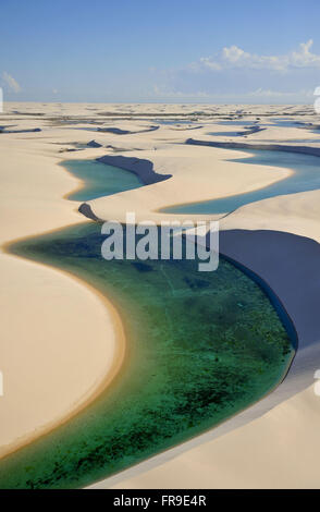 Lakes formed by rainwater - National Park of Lencois Maranhão Stock Photo