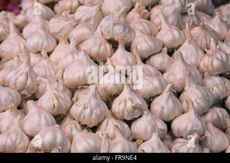 Asia, India, Karnataka, Mysore, Devaraja Market, garlic Stock Photo