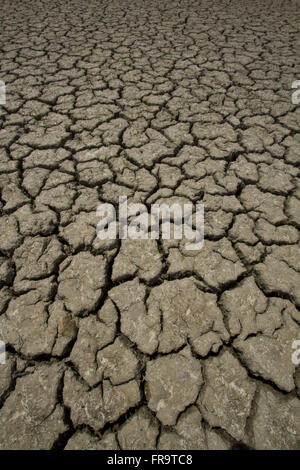 Dry and cracked earth due to drought Stock Photo