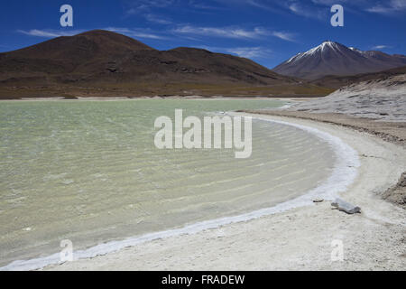 Pond in the area of Piedras Rojas in the Salar de Talar - Atacama Desert Stock Photo