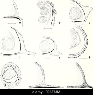 The American Malacological Bulletin (1986) focuses on malacology, the ...