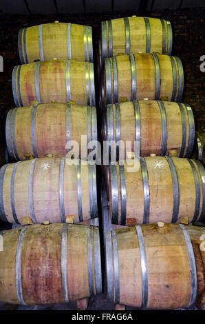 Oak barrels for aging wine in the cellar of the winery Anura - village Klapmuts Stock Photo