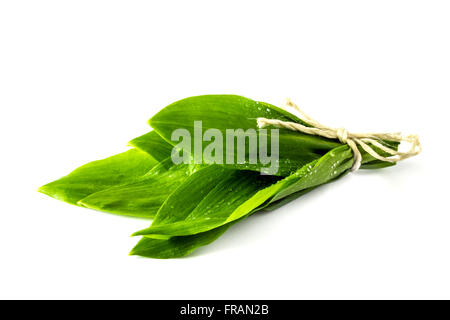 Wild garlic leaves isolated on white background Stock Photo