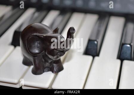 Elephant on Keyboard Stock Photo