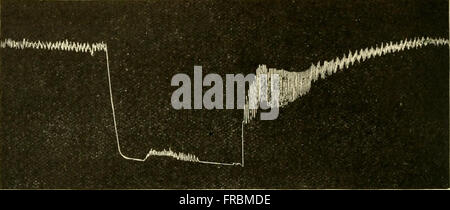 Physiology and biochemistry in modern medicine (1918) Stock Photo