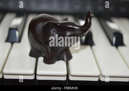 Elephant on Keyboard Stock Photo