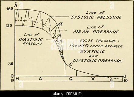 Physiology and biochemistry in modern medicine (1918) Stock Photo