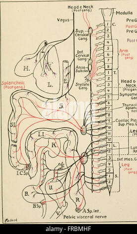 Physiology and biochemistry in modern medicine (1918) Stock Photo