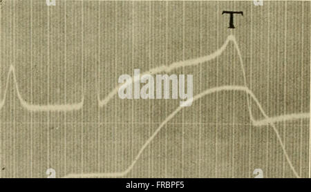 Physiology and biochemistry in modern medicine (1918) Stock Photo