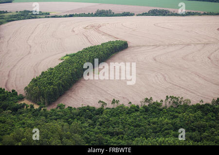 Countryside with cultivated area and area with preserved native forest Stock Photo
