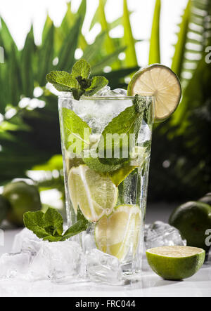 Mojito cocktail on tropical background Stock Photo