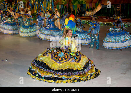 Parintins Folklore Festival Stock Photo