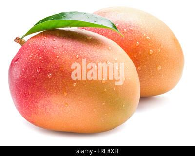 Mango fruits with water drops. Isolated on a white background. Stock Photo
