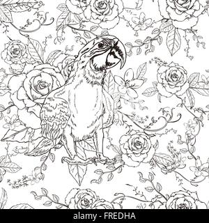 adorable parrot coloring page in exquisite style Stock Vector