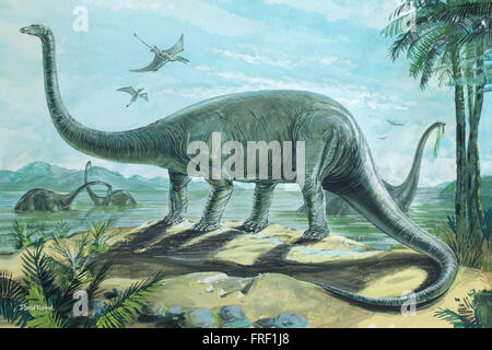 Diplodocus Stock Photo