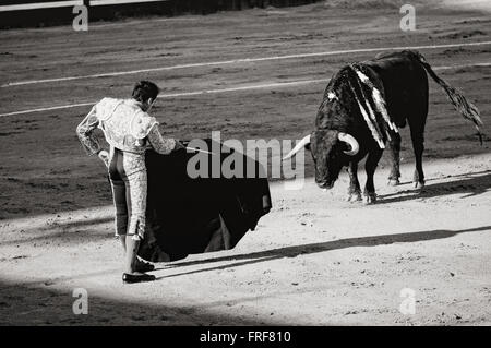 Bullfighting in Andalucia, Spain -  11/05/2013  -  Spain / Andalusia / Jerez de la Frontera  -  Bullfight, during the second ter Stock Photo