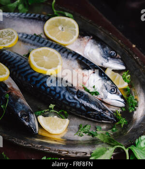 Mackerels served on silver plate with lemon Stock Photo