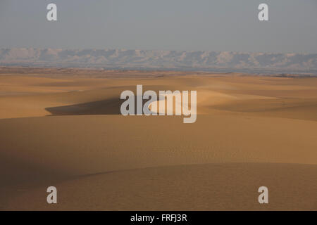 Arid and barren desert dune landscape at al-Galamun, near Dahkla Oasis, Western Desert, Egypt. The Western Desert covers an area of some 700,000 km2, thereby accounting for around two-thirds of Egypt's total land area. Dakhla Oasis is one of the seven oases of Egypt's Western Desert (part of the Libyan Desert). It lies in the New Valley Governorate, 350 km (220 mi.) and measures approximately 80 km (50 mi) from east to west and 25 km (16 mi) from north to south. Stock Photo