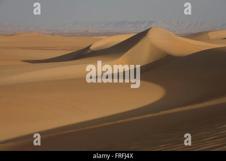 Arid and barren desert dune landscape at al-Galamun, near Dahkla Oasis, Western Desert, Egypt. The Western Desert covers an area of some 700,000 km2, thereby accounting for around two-thirds of Egypt's total land area. Dakhla Oasis is one of the seven oases of Egypt's Western Desert (part of the Libyan Desert). It lies in the New Valley Governorate, 350 km (220 mi.) and measures approximately 80 km (50 mi) from east to west and 25 km (16 mi) from north to south. Stock Photo