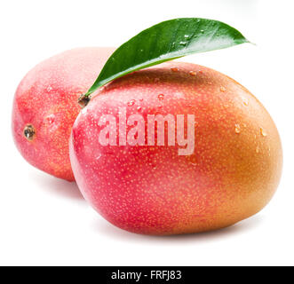 Mango fruits with water drops. Isolated on a white background. Stock Photo