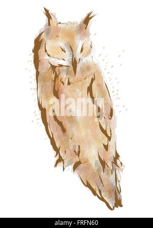 long eared owl isolated on white background Stock Vector
