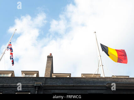 London UK.  22nd March 2016  The Union Flag & Belgium Flag lowered to half mast at No10 downing street after the News of Terror attack in Belgium  Credit: Michael Tubi/Alamy Live News Stock Photo