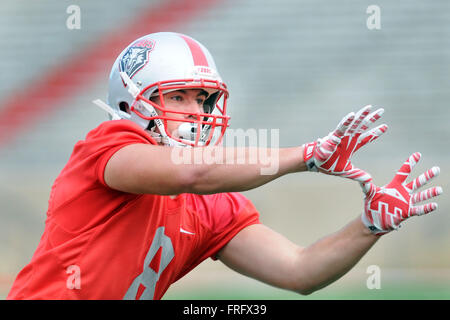 Albuquerque, NM, USA. 22nd Mar, 2016. UNM #8 Cole Gautsche reaches for the ball during spring football practice. Tuesday, Mar. 22, 2016. © Jim Thompson/Albuquerque Journal/ZUMA Wire/Alamy Live News Stock Photo