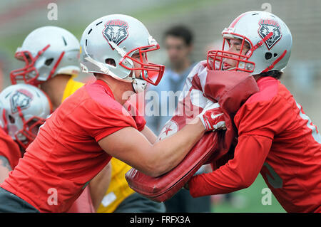 Albuquerque, NM, USA. 22nd Mar, 2016. UNM #8 Cole Gautsche does a blocking drill with teammate #85 Aaron Overreacher during spring football practice. Tuesday, Mar. 22, 2016. © Jim Thompson/Albuquerque Journal/ZUMA Wire/Alamy Live News Stock Photo