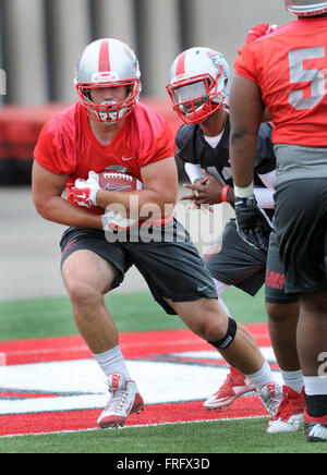 Albuquerque, NM, USA. 22nd Mar, 2016. UNM #8 Cole Gautsche takes the hand off from QB Lamar Jordan during spring football practice. Tuesday, Mar. 22, 2016. © Jim Thompson/Albuquerque Journal/ZUMA Wire/Alamy Live News Stock Photo