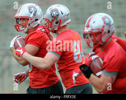 Albuquerque, NM, USA. 22nd Mar, 2016. UNM #8 Cole Gautsche holds on tightly to the football as teammate #84 Erik Bellman tries to punch the ball from his grip during spring football practice. Tuesday, Mar. 22, 2016. © Jim Thompson/Albuquerque Journal/ZUMA Wire/Alamy Live News Stock Photo