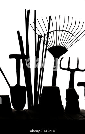 Gardening tools against a potting shed window Stock Photo