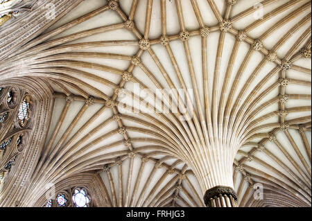 Wells Cathedral Chapter House vaulted ceiling. Somerset, England Stock Photo