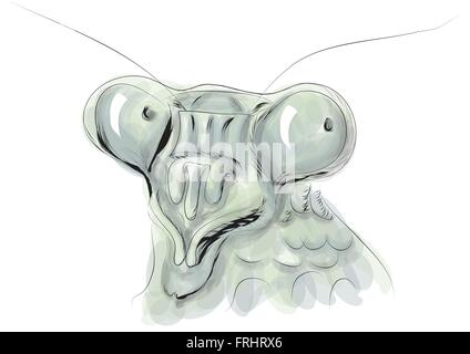 Mantis head isolated on a white backgrouhnd Stock Vector