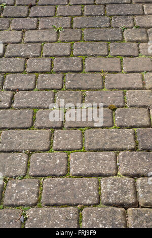 Garden path created from random paving Stock Photo