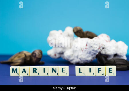 Wooden turtle figurines with coral on blue background Stock Photo