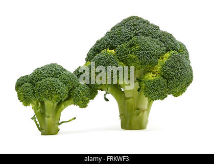 fresh broccoli isolated on white background Stock Photo