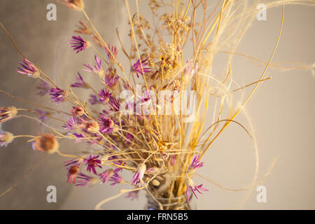 Bouquet of beautiful purple dry flowers. Gentle flowers. Postcard view ...